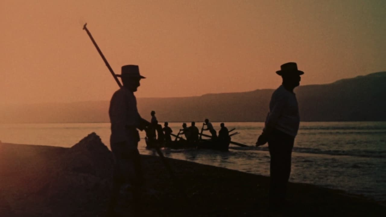 the-age-of-swordfish-backdrop
